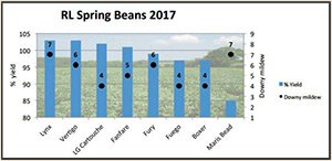spring-bean-image