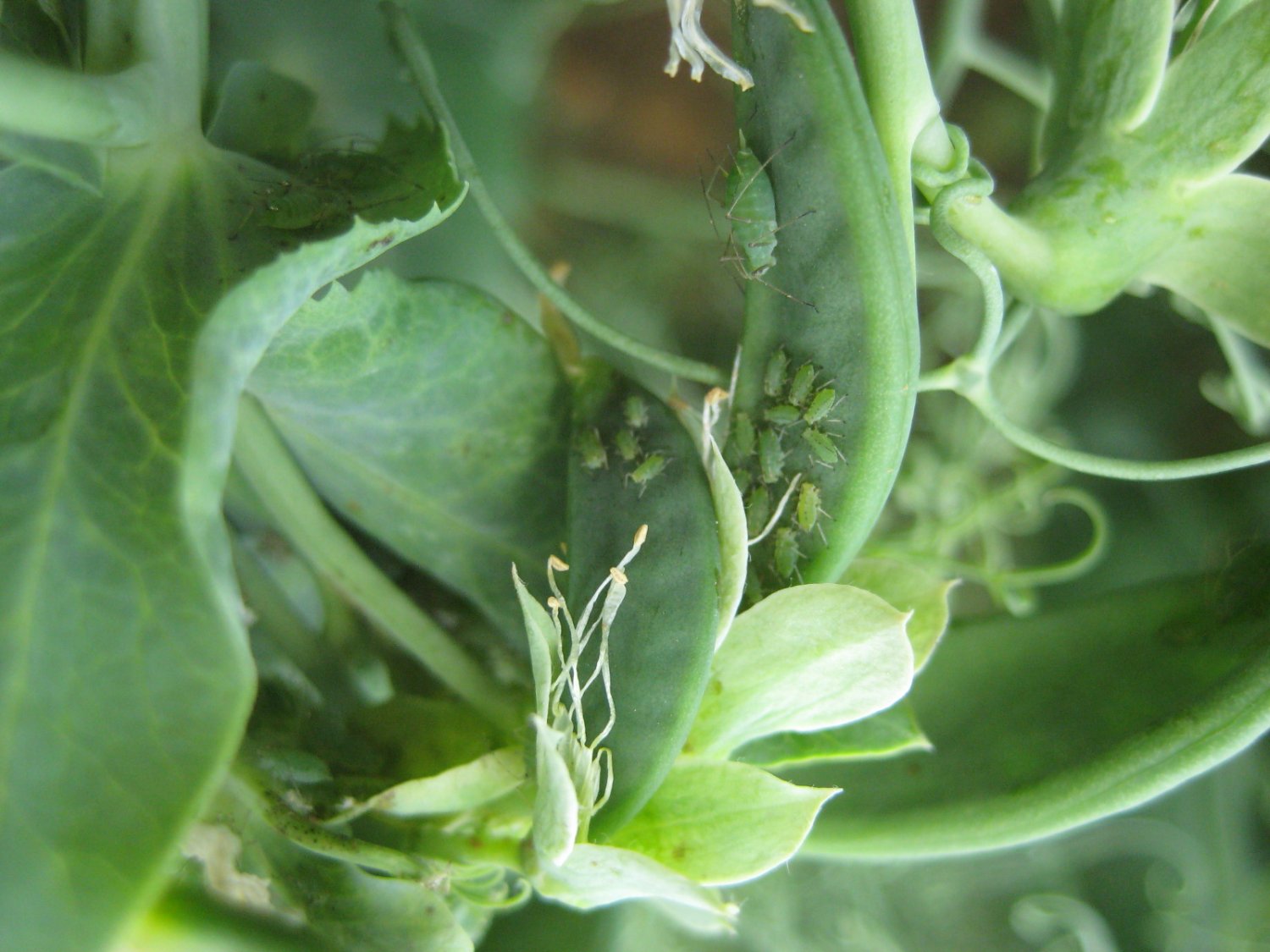 image3