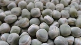 Value chain for combining pea with the BEPA (British Edible Pulses Association) (United Kingdom)