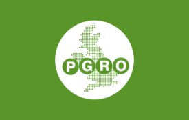 Pea and bean crops still an option for 2025 after SFI disappointment