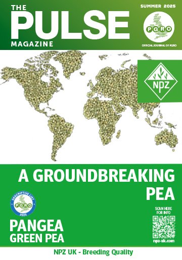 Pulse Magazine Summer 2025