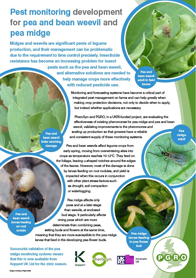 PEST MONITORING DEVELOPMENT FOR PEA AND BEAN WEEVIL AND PEA MIDGE